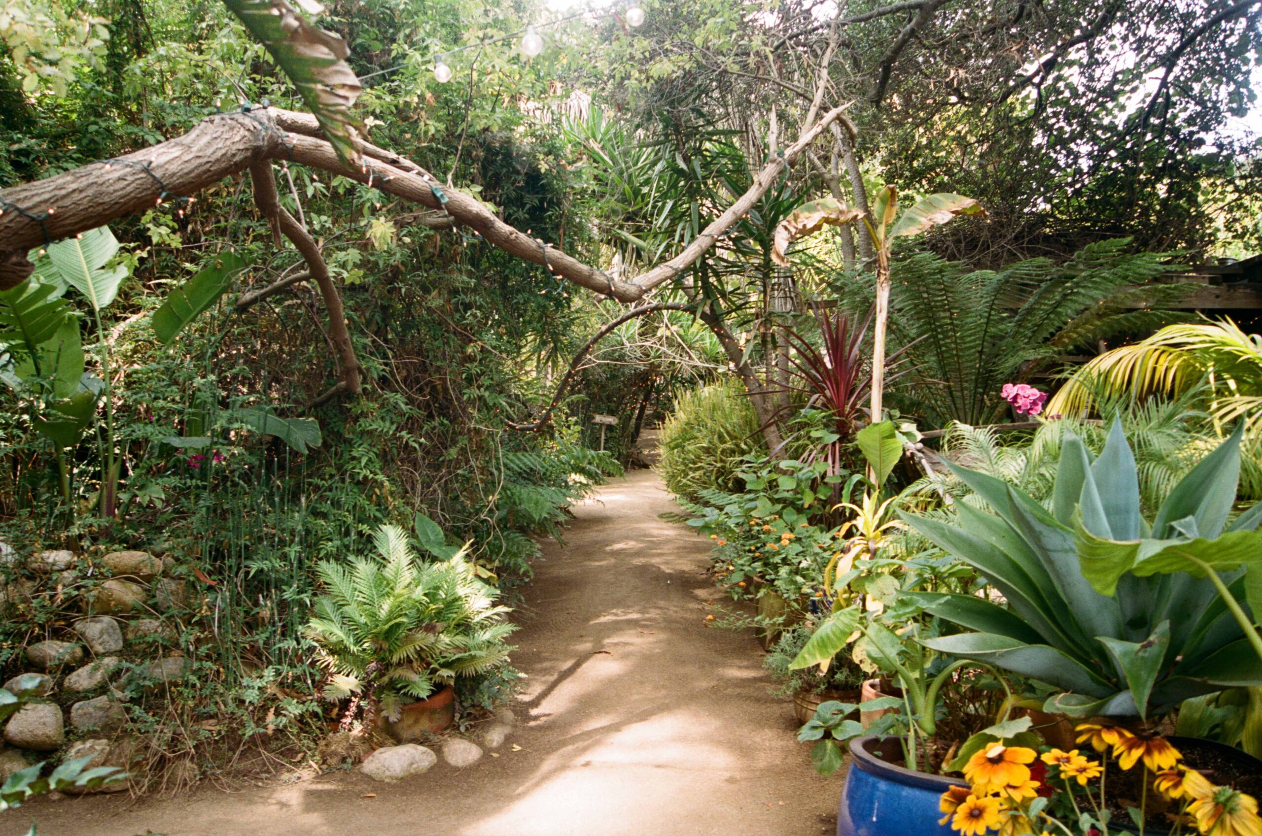 09132508KatieLaurenWeddingBonusFilm-2