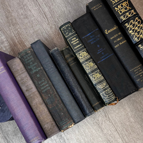 Vintage Books 6